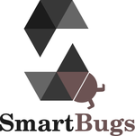 SmartBugs: An Execution Framework for Automated Analysis of Smart Contracts
